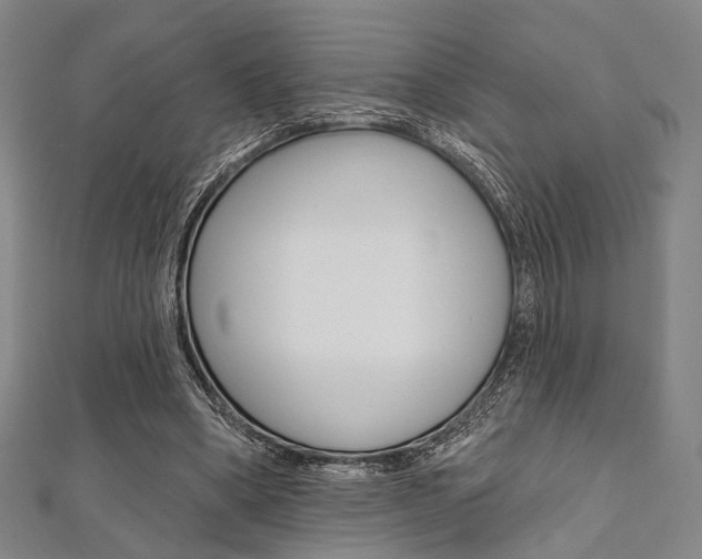 X0000112060394200908041015