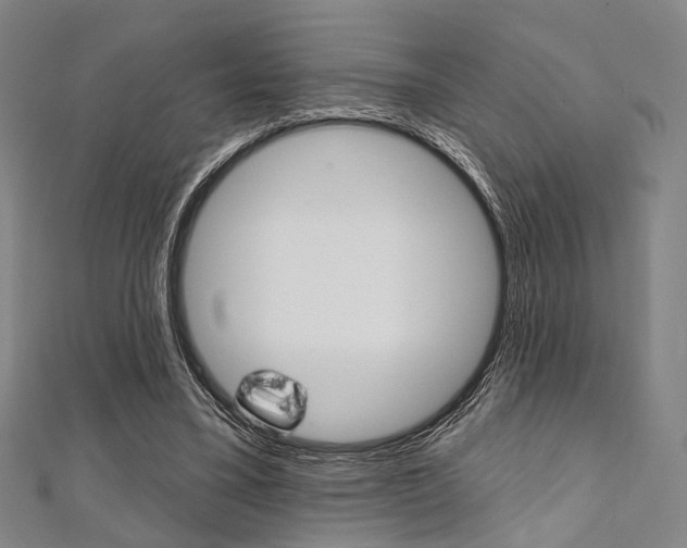 X0000112060395200908041015