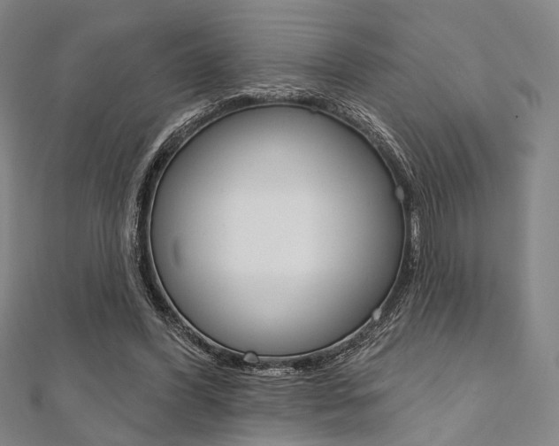 X0000112060396200908041015