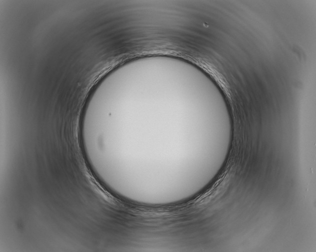 X0000112060397200908041015