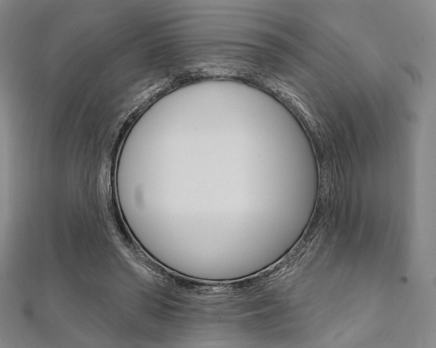 X0000112060398200908041015