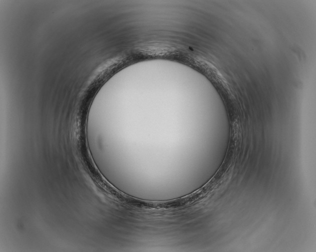 X0000112060400200908041015