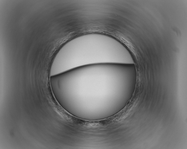 X0000112060401200908041015