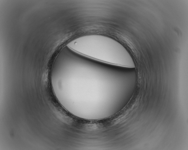 X0000112060404200908041015