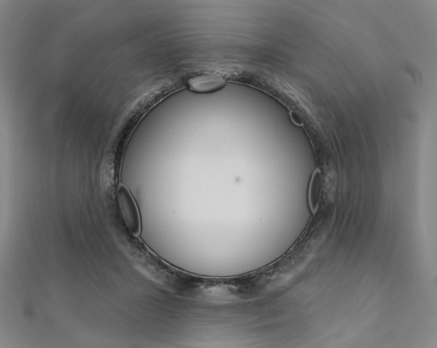 X0000112060407200908041015