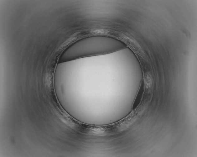 X0000112060409200908041015