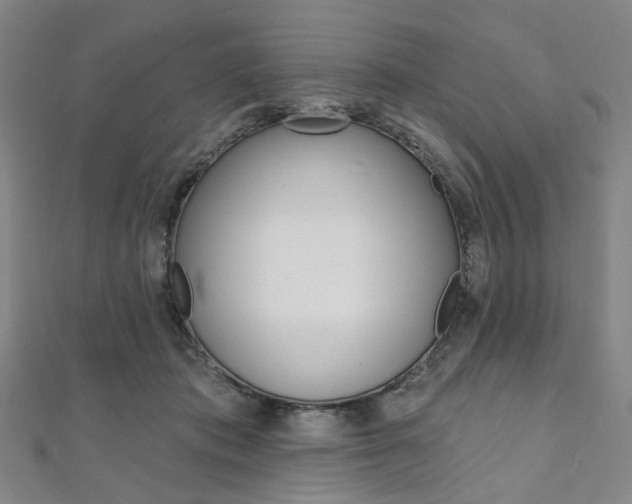X0000112060413200908041015