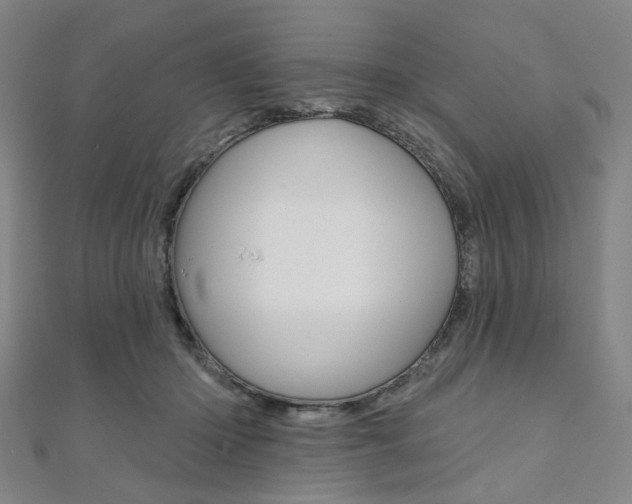 X0000112060414200908041015