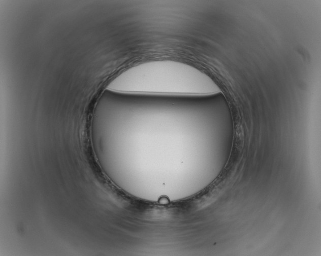 X0000112060416200908041015