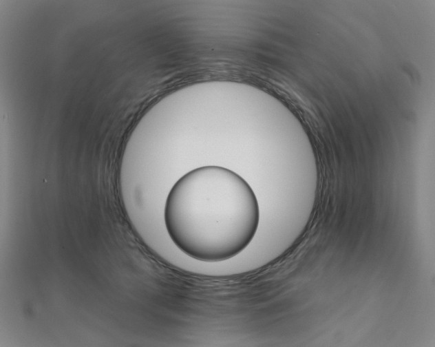 X0000112060417200908041015