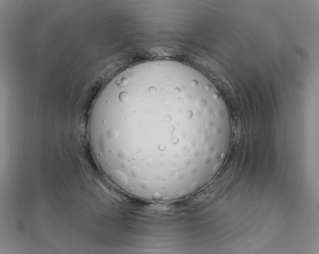 X0000112060418200908041015