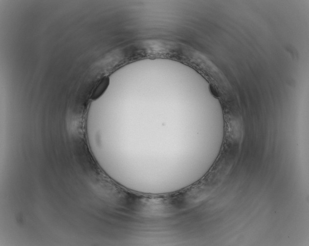 X0000112060419200908041015