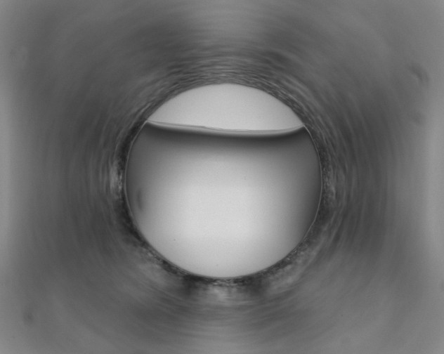 X0000112060420200908041015