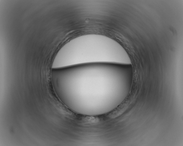 X0000112060421200908041015