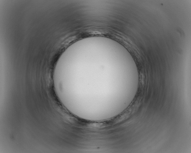 X0000112060422200908041015