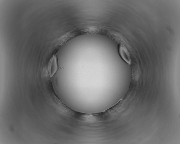 X0000112060425200908041015