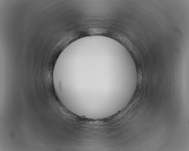 X0000112060426200908041015