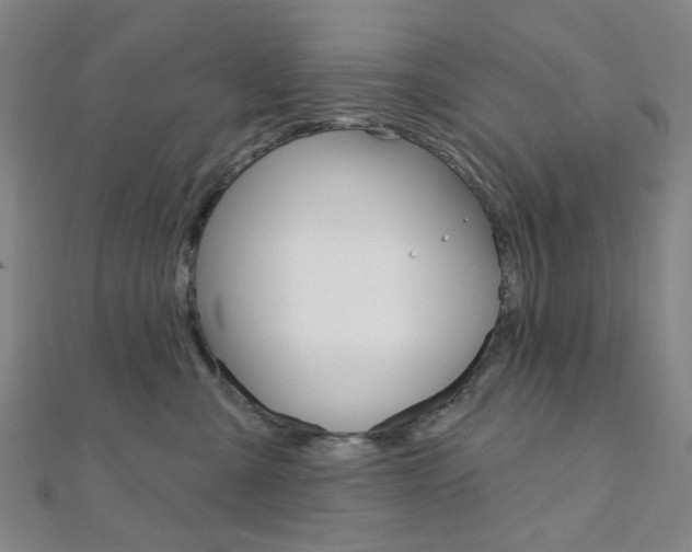 X0000112060427200908041015