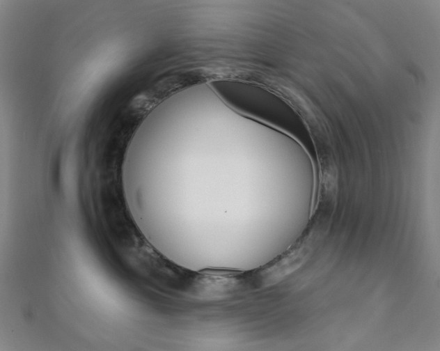 X0000112060429200908041015