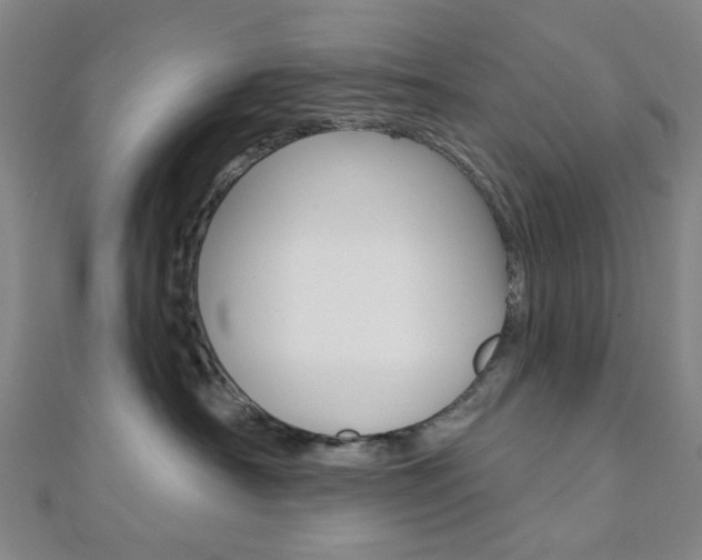 X0000112060430200908041015