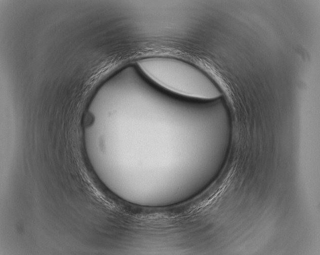 X0000112060433200908041014