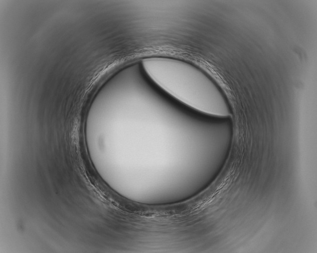 X0000112060434200908041014