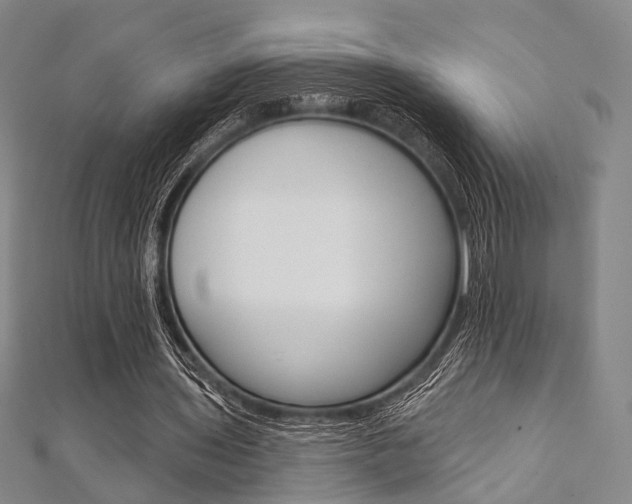 X0000112060435200908041014