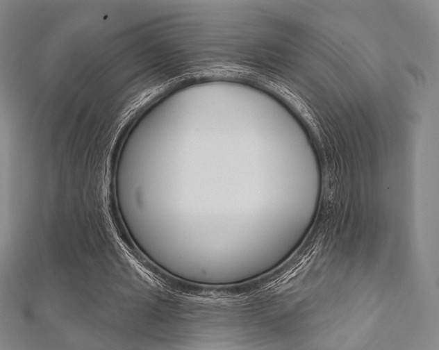 X0000112060437200908041014