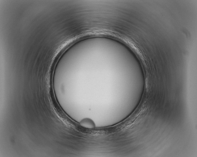 X0000112060438200908041014