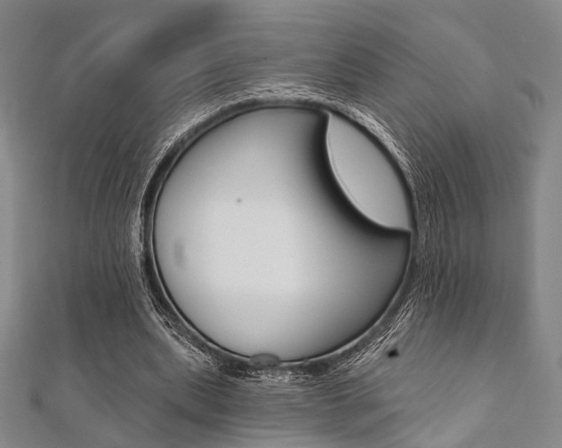 X0000112060439200908041014
