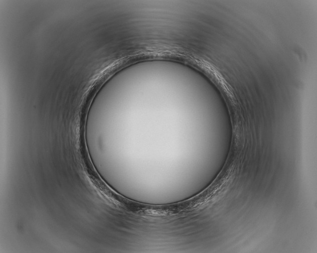 X0000112060442200908041014