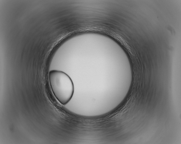 X0000112060444200908041014