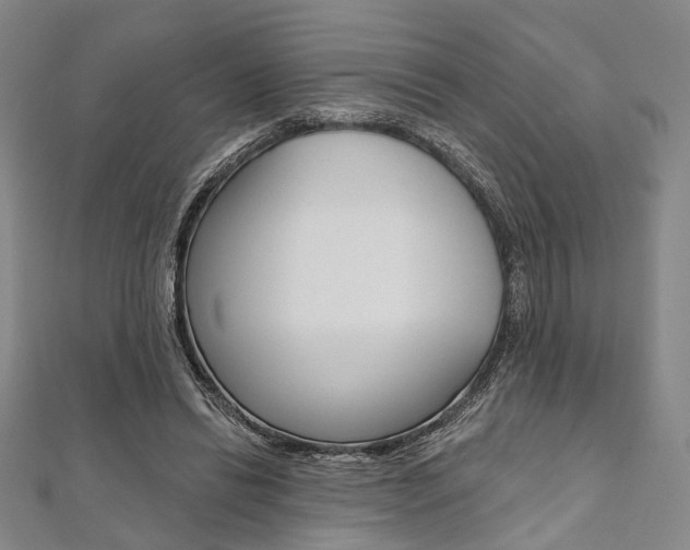 X0000112060446200908041014