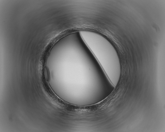 X0000112060448200908041014