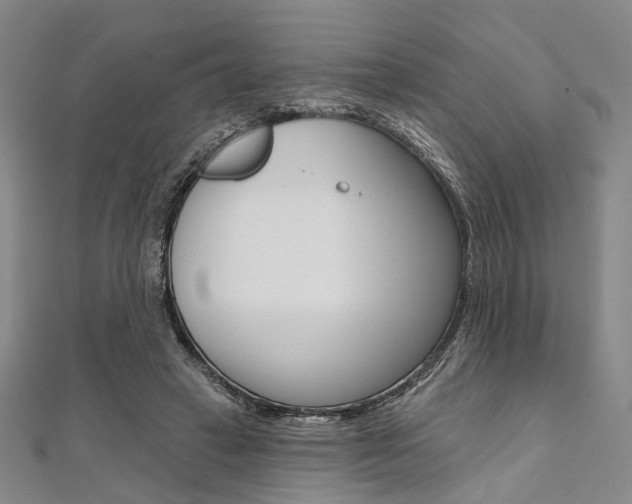 X0000112060449200908041014