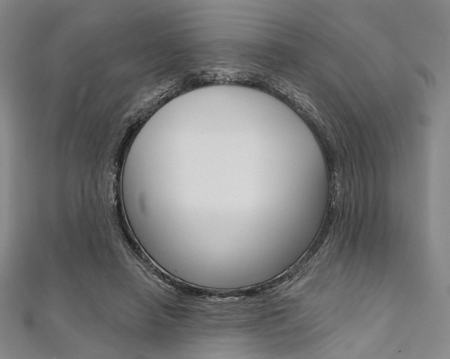 X0000112060450200908041014