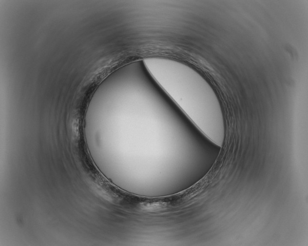 X0000112060452200908041014