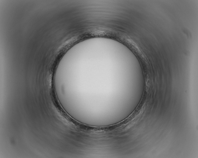 X0000112060454200908041014