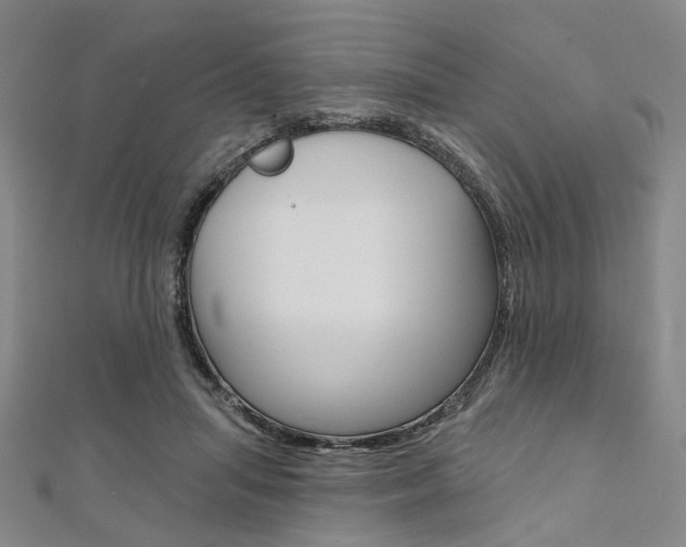 X0000112060455200908041014