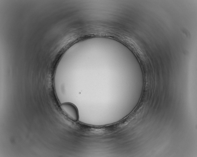 X0000112060457200908041014