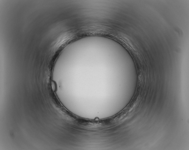 X0000112060458200908041014
