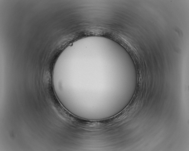 X0000112060459200908041014