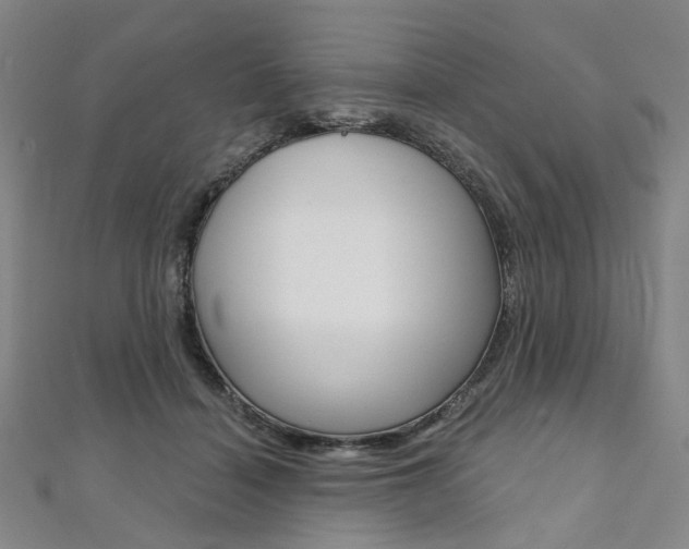 X0000112060460200908041014