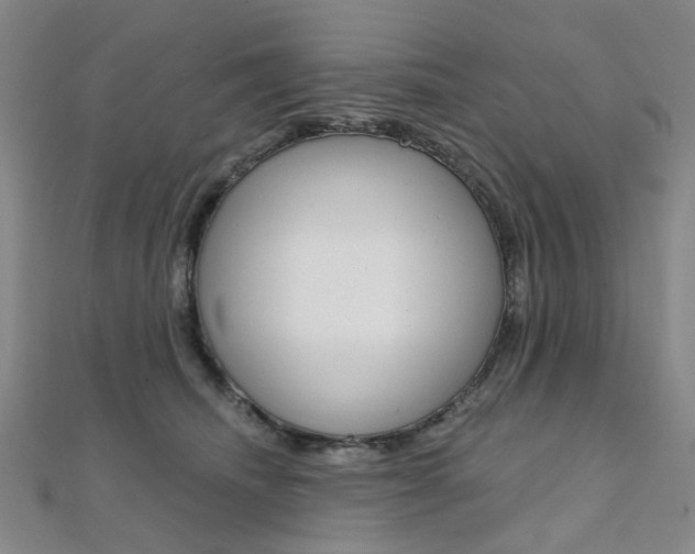 X0000112060468200908041014
