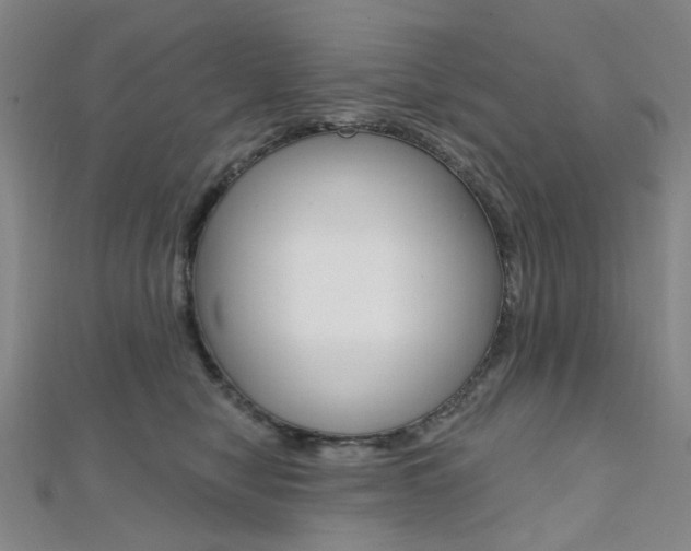 X0000112060470200908041014