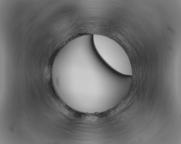 X0000112060471200908041014