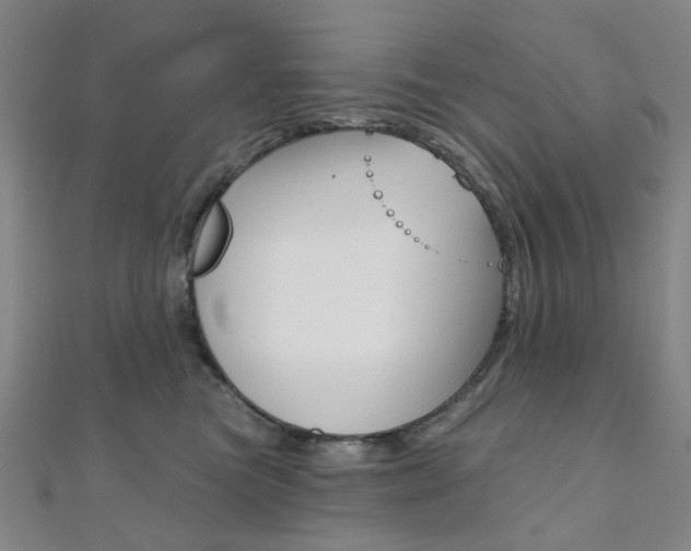 X0000112060473200908041014