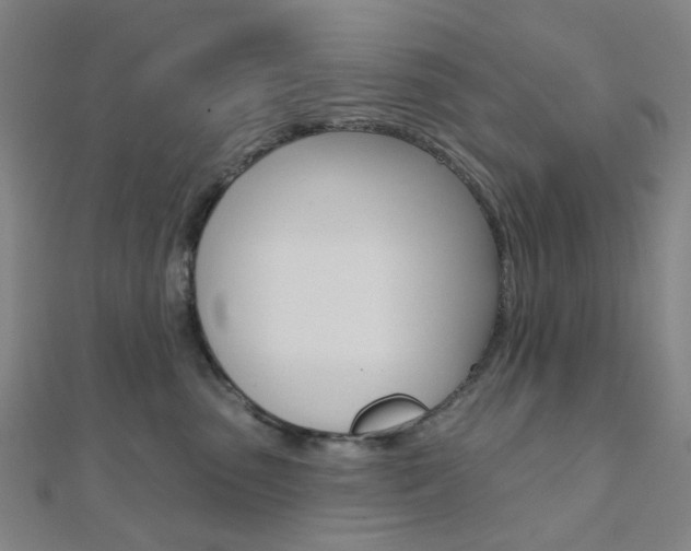 X0000112060475200908041014
