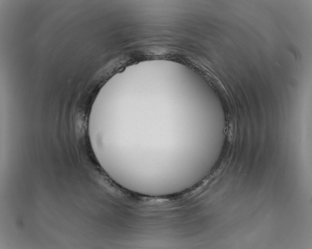 X0000112060476200908041014