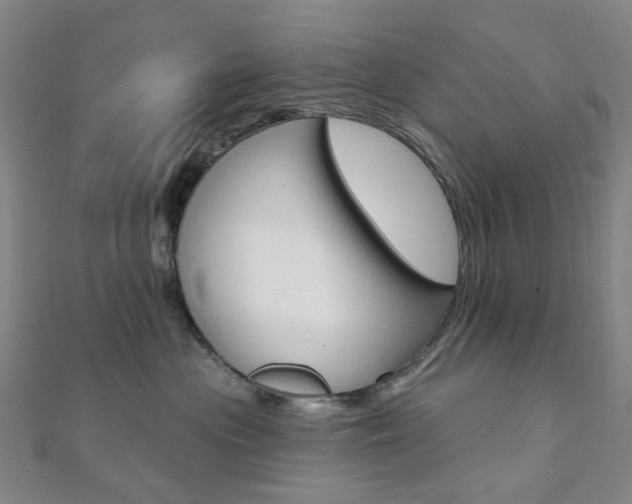 X0000112060477200908041015